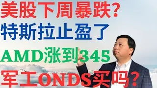 美股1113|美股下周暴跌?特斯拉止盈了!AMD暴涨到245?军工股ONDS能买吗? #tsla #amd #onds #美股分析 #drmikeinvest