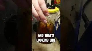 I Tested Water Infused With Cigarette Smoke