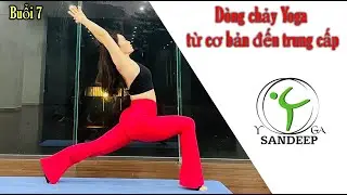 Bài 7 - Dòng chảy Yoga 🧘 từ cơ bản đến trung cấp  Yoga With Sandeep || Vietnam
