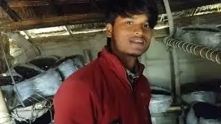 Guys masroom ki kheti keise kare |Hariom Singh|Suraj Singh|