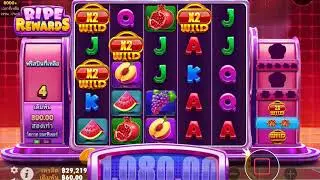 สายปั่น l RIPE REWARDS แตกโคตรมันส์