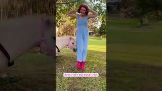✨When an autistic fairy gets her dream pony therapy boots...✨