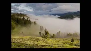 Uspokajająca muzyka dla relaksu