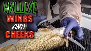 Fish cleaning tricks: Few cuts you might be missing on walleyes