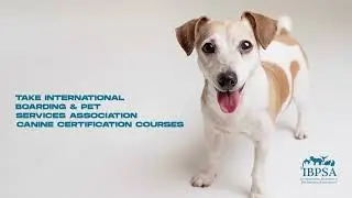 Canine Certification Courses: Canine Pet Care Provider and Canine Pet Care Specialist