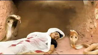 THE STORY OF SNAKE IN A WOMAN'S GRAVE