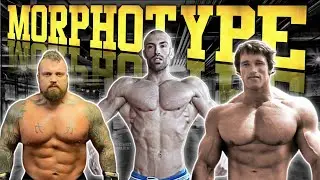 LES MORPHOTYPES - ECTOMORPHE ENDOMORPHE MESOMORPHE