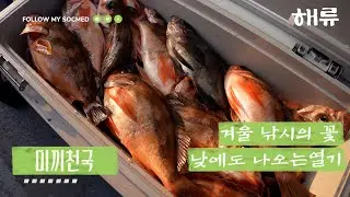 겨울 낚시의 꽃! 낮 열기낚시! #외줄낚시 #금바다호