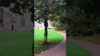 GLOUCESTER CATHEDRAL /#gloucestershire /#church /#uk /#balenoviansvlogs /#balenovians /#shorts