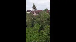 Discover Damara Village Ubud, a tranquil oasis nestled in the heart of Bali. This luxurious resid...
