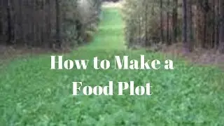 How to Make a Food plot! (Made with Turnips)