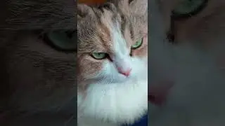 #психология #мышление #саморазвитие