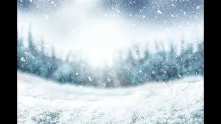 Snow Day Live Stream!