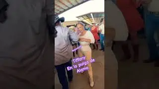 Pulga de Alamo Texas #shorts #music #party #band #love #youtubeshorts #dance #spotifyclone