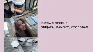 Учеба в Китае: универ, общежитие, столовая