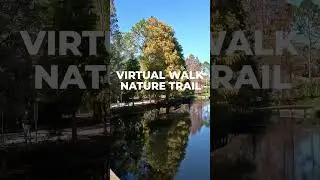 Virtual Walk Video For Treadmill | Calm Nature Walk