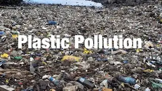 Shocking Facts about Plastic Pollution That Show We Need to do More