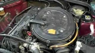 CIMG0598
