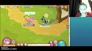 random animal jam video