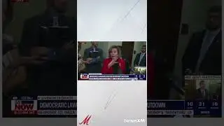 Megyn Kelly Reacts to Nancy Pelosi Taking a Subtle SHOT at AOC During Government Shutdown Interview