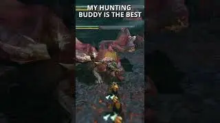 My hunting buddy is awesome - Monster Hunter Risse