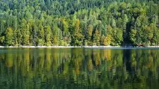 Autumn Lake and Forest 🍂 Relaxing Nature Video for Meditation, Yoga & TV Background (90 Minutes)