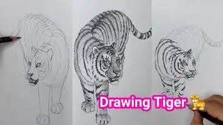 🎥 Speed Drawing a Majestic Tiger 🐅| Drawing Time-lapse ⏱️ Ep2