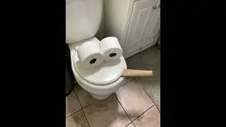 Dad!!!   The toilet is smoking!! 🔥 🔥 💩 💩 💨 💨