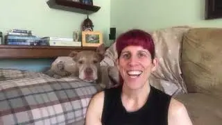 The Proficient Pup Cue Tip - North County San Diego