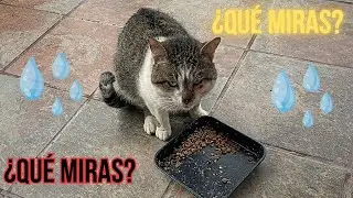 Volvió bajo la lluvia… y algo no iba bien | DÚO