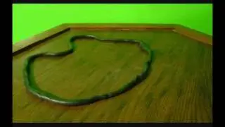 Randumb Claymation 9
