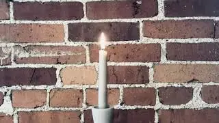 Dipped Taper Dinner Candles by Root Candles
