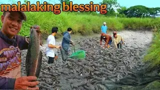 Malalaking Isda ang Huli sa Fish Pond