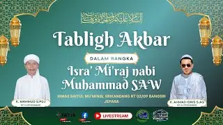 cek live