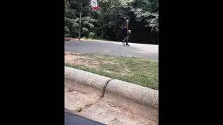 Brandon Evans Basketball