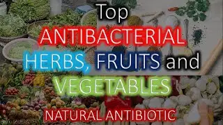 Top ANTIBACTERIAL Herbs, fruits and Vegetables. NATURAL ANTIBIOTIC.