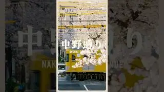 Video Postcards Vol.16 - 中野通り Nakano-dori Avenue | Lumix S9