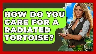How Do You Care For A Radiated Tortoise? - Reptilian Wonders