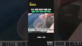 Busan City, Special Investigation into Sanitation and Safety of Tourist Attractions in Summer / KNN