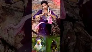 kiliye kiliye🐦🐦#90shitsong#evergreenhits#shortsviral#oldsongs#viral
