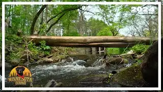 Big Rock Creek | Minnesota Bound