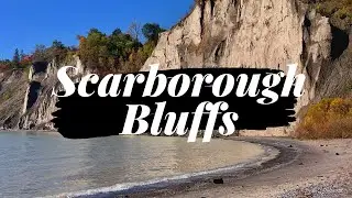 Scarborough Bluffs| Exploring 90 Meters of Cliff| Toronto Best Kept Secret| Fall Hike!