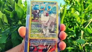 AWESOME! Pokemon Card Collection- Pokemon TRAINER GALLERY CARDS!