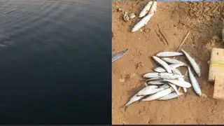 #fishing #luxuryview #natureluxury #beautiful #luxurydestination #lakeview #beach #waterfront #sea