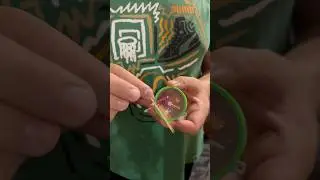 Волшебная зубочистка #short #приколы #illusion #miracles #чудеса #магия #юмор #magic #humor #шутки