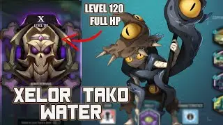 [WAVEN] Xelor Tako - Chafer lvl.120 - 2 min 13 FULL HP