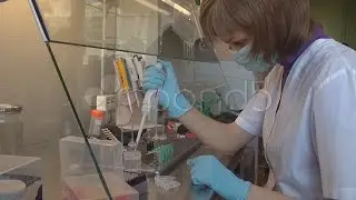 Biology_02. Stock Footage