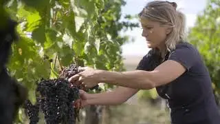 Château Croix de Labrie - Saint-Emilion Grand Cru