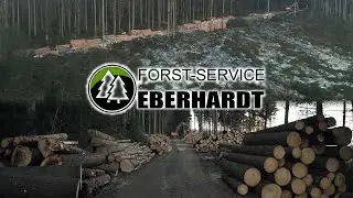 Forstservice Eberhardt - Naturverjüngungsräumung