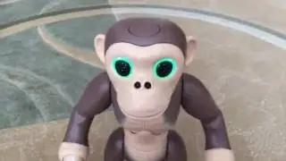 Toy Review For Zoomer Chimp